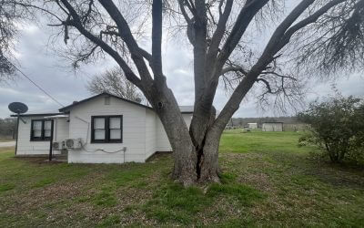 Blade Runner Tree Service Delivers: Safe & Efficient Tree Removal for a Homeowner in Austin, TX