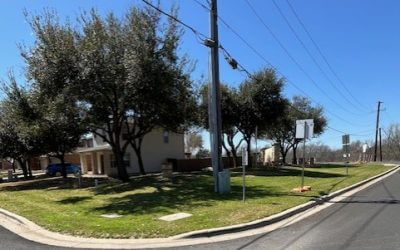 Comprehensive HOA Landscaping & Tree Care by Blade Runner Tree Service in Austin, TX