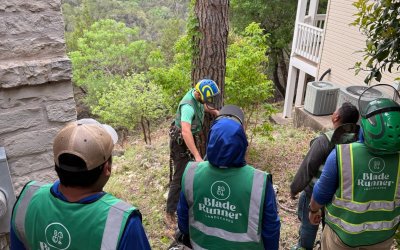 Tree Removal in Austin, TX | Southern Red Oak Hazard Case Study