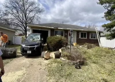 A lot during emergency tree service in Hays County, TX