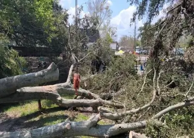 A lot during emergency tree service in Travis County, TX