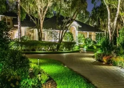 A house before tree health services in Cedar Park, TX