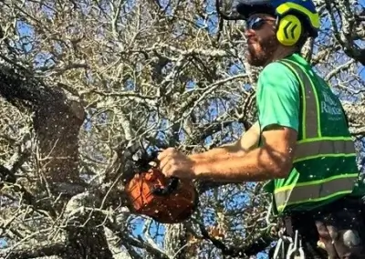 A team member during tree service in Austin, TX
