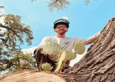 A team member during tree service in Cedar Park, TX