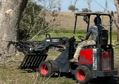 A team member during tree service in Hays County, TX