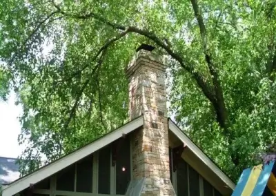 A house before tree trimming in Round Rock, TX